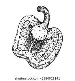 ingredient pepper spice hand drawn. spicy dry, organic cooking, cuisine black ingredient pepper spice vector sketch. isolated black illustration