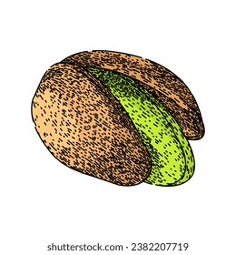 ingredient pistachio nut hand drawn. food organic, roasted healthy, shell raw ingredient pistachio nut vector sketch. isolated color illustration