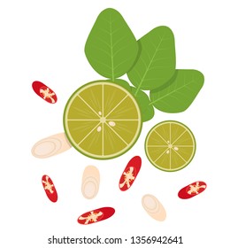ingredient Tomyam vector. ingredient on white background. free space for text. copy space.