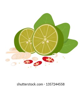 ingredient Tomyam vector. ingredient on white background.