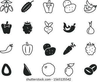 ingredient vector icon set such as: roasted, linear, salami, eco, yummy, slice, restaurant, autumn, chile, icons, beet, shop, web, scalable, sativum, dessert, pictogram, grain, silhouette