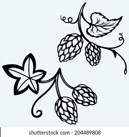 Ingredients for beer. Hops. Image isolated on blue background