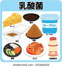 Ingredients containing lactic acid bacteria. Japanese text means cheese, soy sauce, natto, miso, yogurt, pickles, kimchi, lactic acid drink