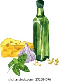 ingredients for cooking pesto, drawing by watercolor,hand drawn vector illustration