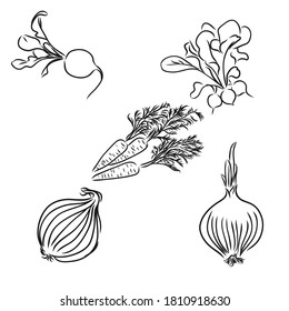 ingredientes para cocinar, verduras, cebollas, ilustración de boceto vectorial