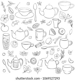 ingredients for herbal, fruit, floral and spice tea isolated at white background, hand drawn illustration