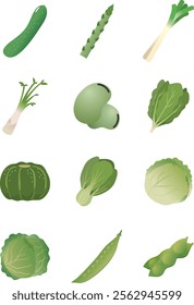 Ingredients Illustration 2-3 pea, pumpkin, green onion, spinach, asparagus, edamame, lettuce, horse bean, cabbage, Chinese cabbage, udo, cucumber