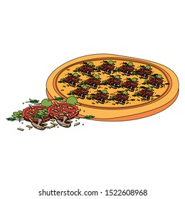 ingredients and italian pizza icon over white background, vector illustration
