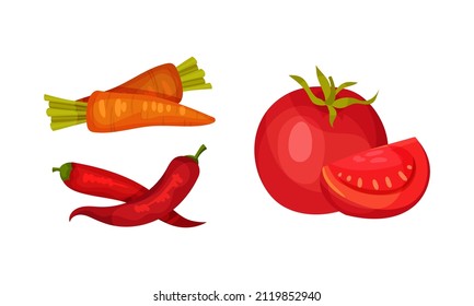 Ingredients for pasta cooking set. Chilly pepper, carrot and tomato vector illustration