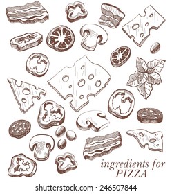 Ingredients for pizza set of vector sketches on a white background