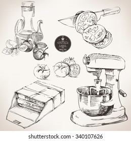 ingredients for pizza, vector