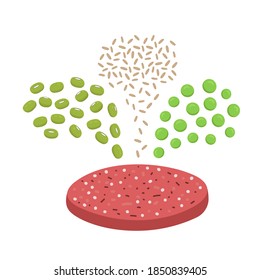 Ingredients of plant based meat. Mung beans, brown rice and pea pouring in meatless burger patty. Organic vegan food concept. Vector flat illustration.