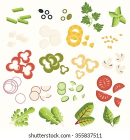 Ingredientes para la ensalada. Verduras, hierbas. Conjunto de vectores