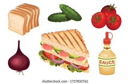 Ingredients for Sandwich Preparation with Vegetables and Toasted Bread Slices Vector Set