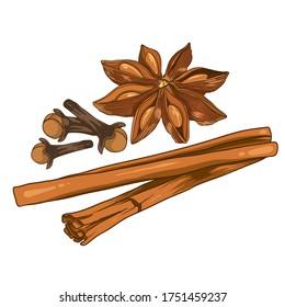 Ingredients of stars anise, cloves and cinnamon vector isolated white background