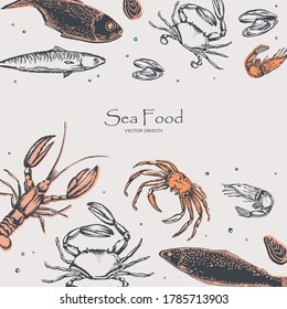 Inhabitants of the oceans and seas: sea fish, crab, shrimps and mussels. See food. Chalk style vector objects set