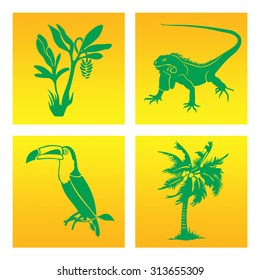 The inhabitants of the rainforest in the graphic symbol. Toucan, iguana, banana and coconut palms in vector