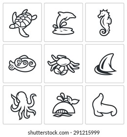 Inhabitants of the sea and ocean icons set. Vector Illustration.
Isolated Flat Icons collection on a white background for design