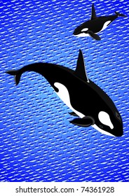 The inhabitants of the seas and oceans. Whale on the background of large swarms of small fish