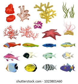 Inhabitants of warm tropical seas, coral reefs and rivers: bright tropical fish, starfish, algae, sponges, corals. Set of wild creatures