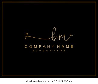 Initial B M handwriting logo template vector