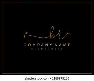 Initial B R handwriting logo template vector