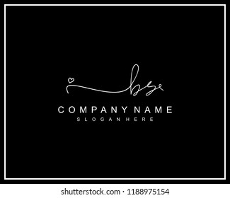 Initial B S handwriting logo template vector