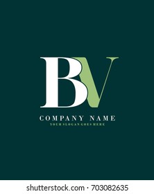 Initial B & V simple design logo template vector