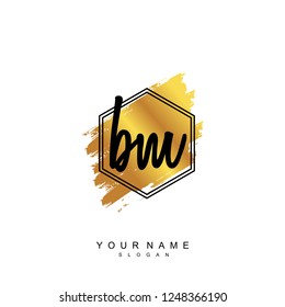 Initial BM handwriting logo vector