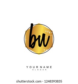 Initial BN handwriting logo vector