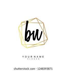 Initial BN handwriting logo vector