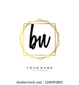 Initial BN handwriting logo vector