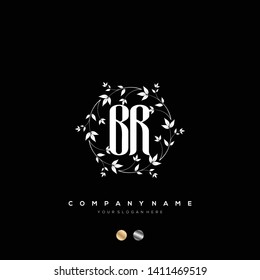 Initial BR letter luxury beauty flourishes ornament monogram logo - Vector