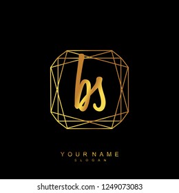 Initial BS handwriting logo vector