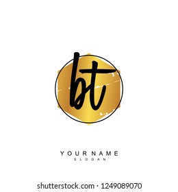 Initial BT handwriting logo vector