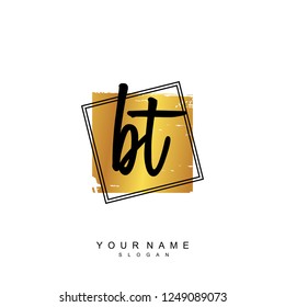 Initial BT handwriting logo vector