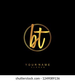 Initial BT handwriting logo vector