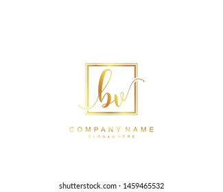 Initial BV beauty monogram and elegant logo design, handwriting logo of initial signature, wedding, fashion, floral and botanical with creative template.
