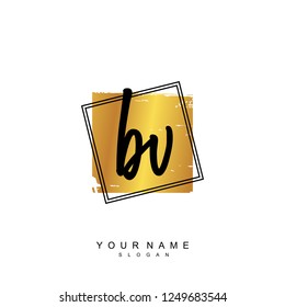 Initial BV handwriting logo vector