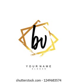 Initial BV handwriting logo vector