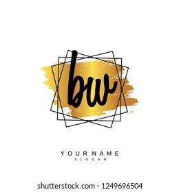 Initial BW handwriting logo vector