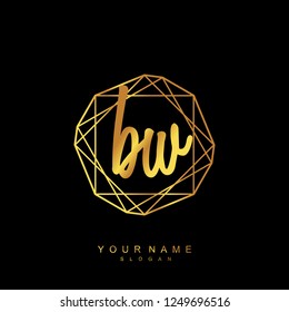 Initial BW handwriting logo vector