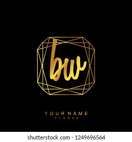 Initial BW handwriting logo vector