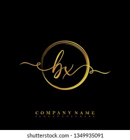 Initial BX handwriting logo