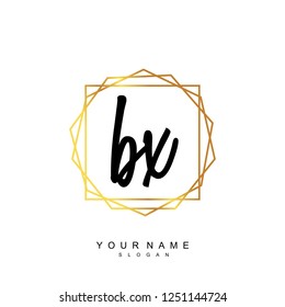 Initial BX handwriting logo vector