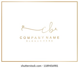 Initial C B handwriting logo template vector