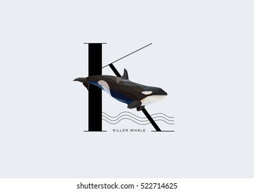 Initial capital letter K decorated with Orca killer whale in modern minimal style