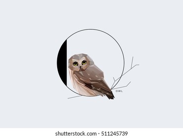 Initial capital letter O decorated with pygmy owl standing on the tree branch, minimal contemporary style