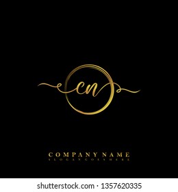 Initial CN handwriting logo