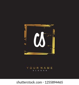 Initial CS handwriting logo vector
